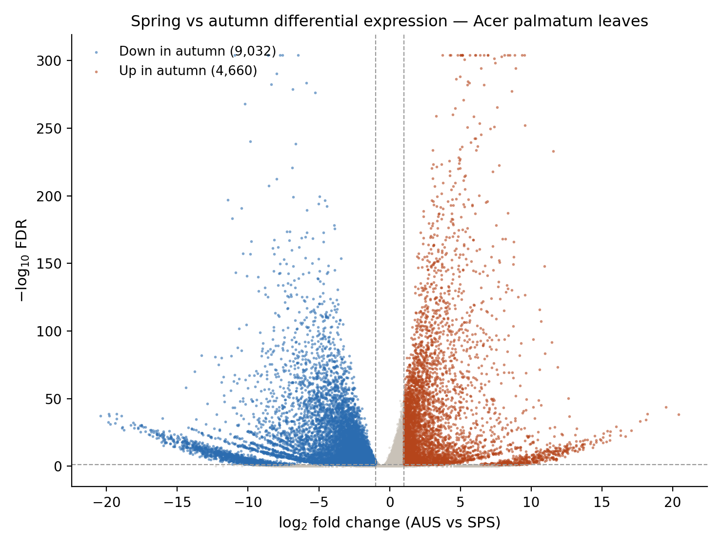 Volcano plot, SPS vs AUS